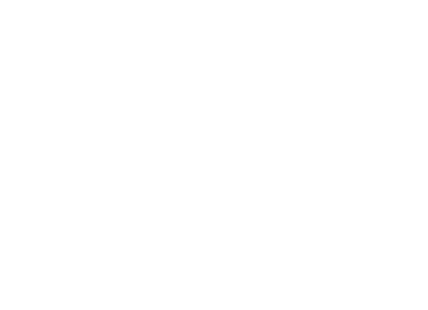 rizman-01